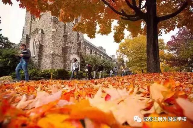 美国杜克大学教师培训专家走进成都王府外国语学校