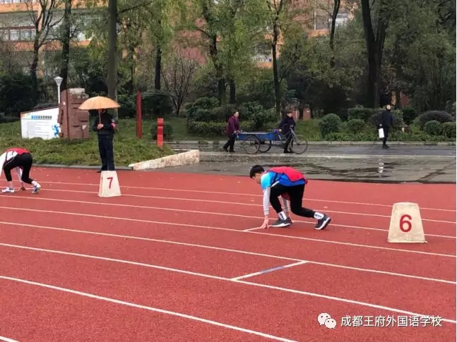 “砥砺前行 奋勇拼搏”——祝贺成都王府代表队参加温江区运动会载誉而归