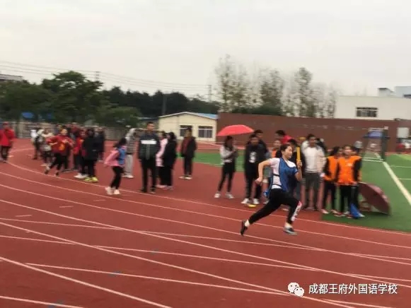 “砥砺前行 奋勇拼搏”——祝贺成都王府代表队参加温江区运动会载誉而归