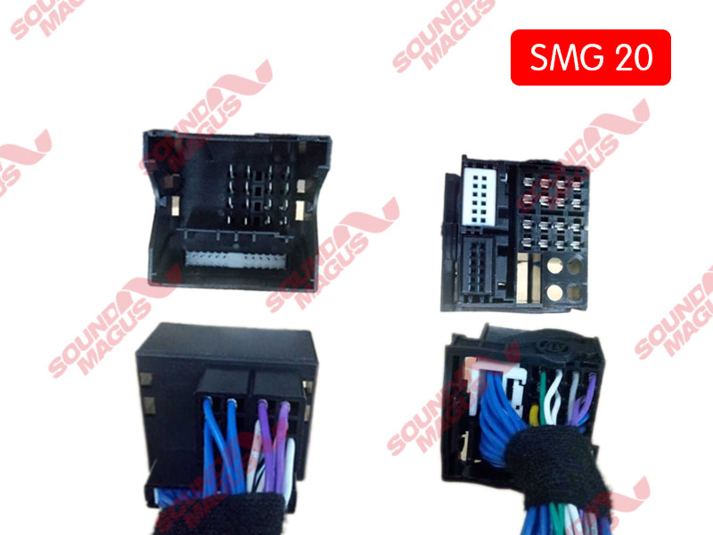 SMG20
