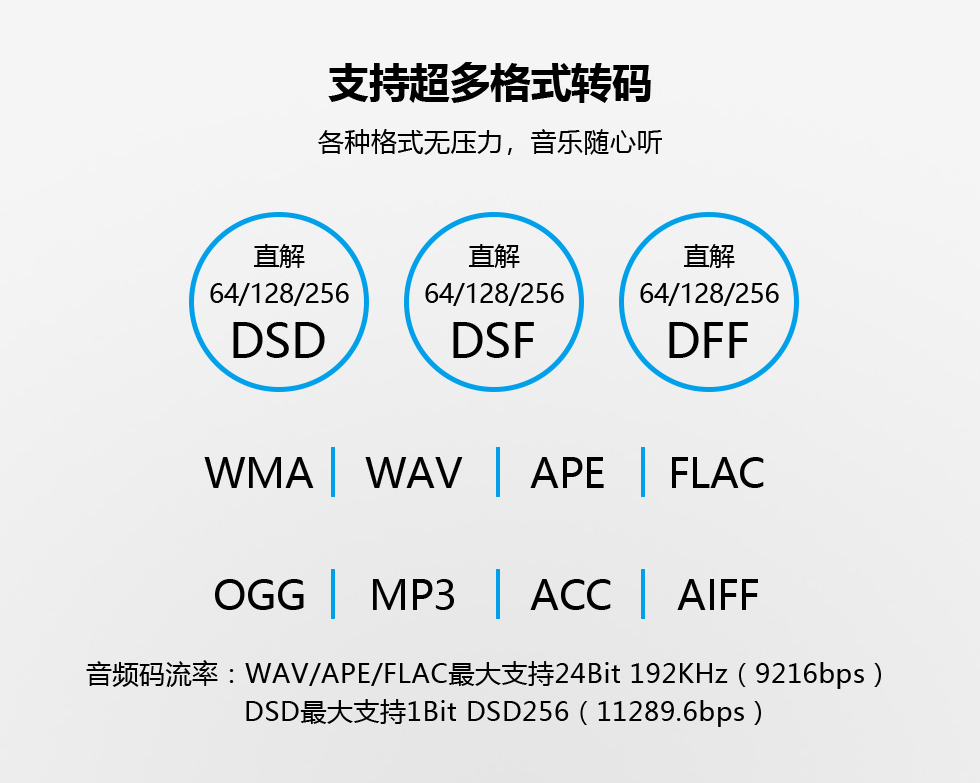 PLAY-1 DSD播放器