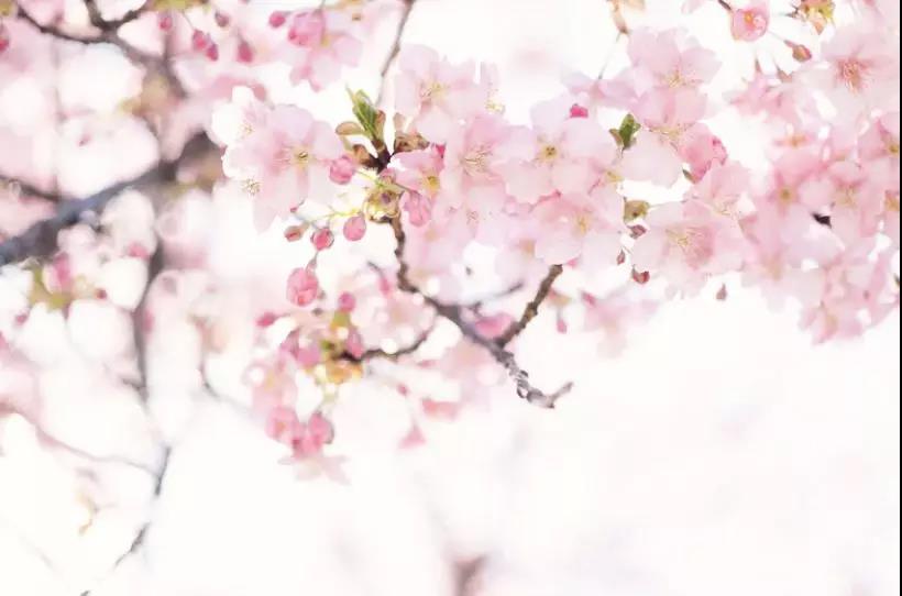 学校介绍 学校介绍