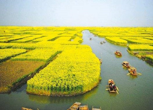 道和远大集团成都第六分公司成立 道和远大集团成都第六分公司成立
