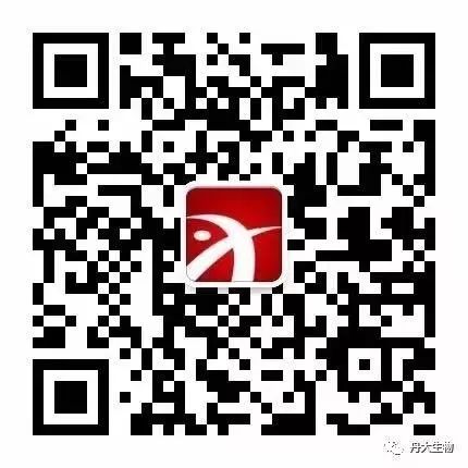 辞旧迎新 鼠年大吉