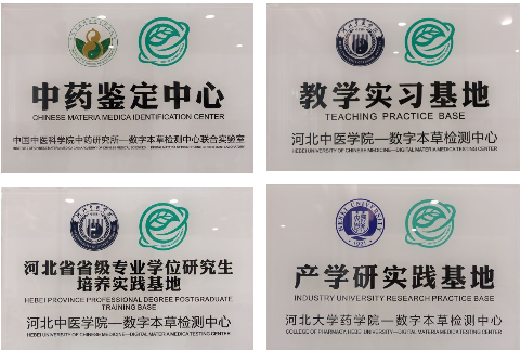人员 人员