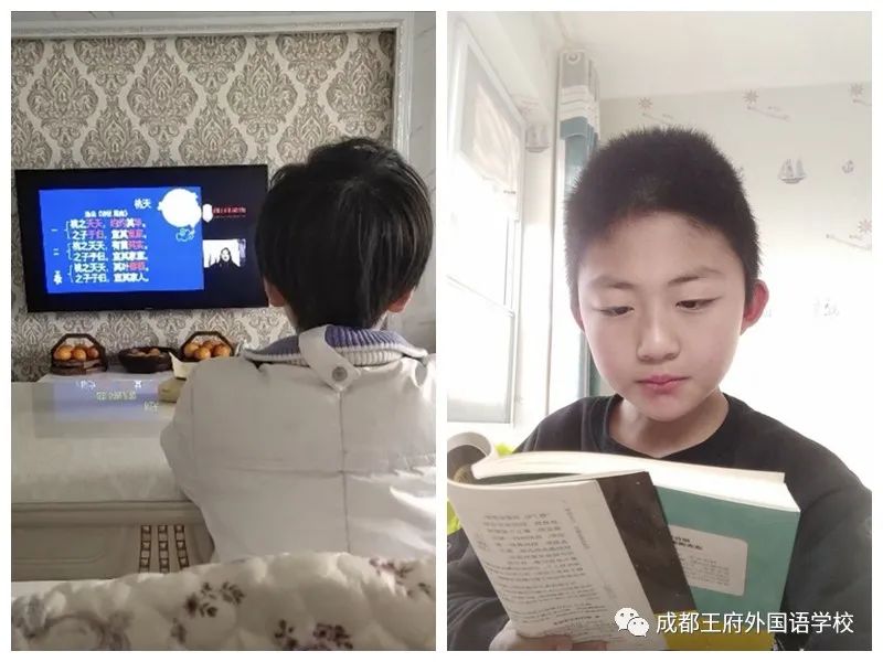成都王府在线学习进行时 致敬不负韶华的你们|小学篇