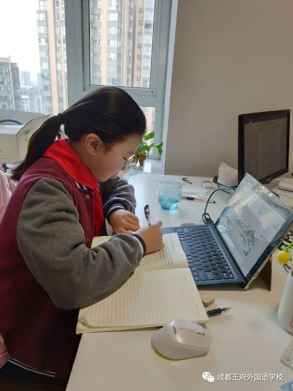 成都王府在线学习进行时 致敬不负韶华的你们|小学篇