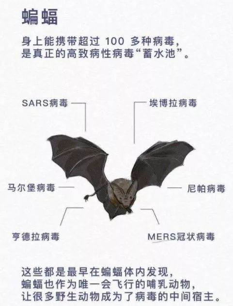 中国疫情刚好转,另一场危及70亿人生命的灾难还在发生… 中国疫情刚好转,另一场危及70亿人生命的灾难还在发生…