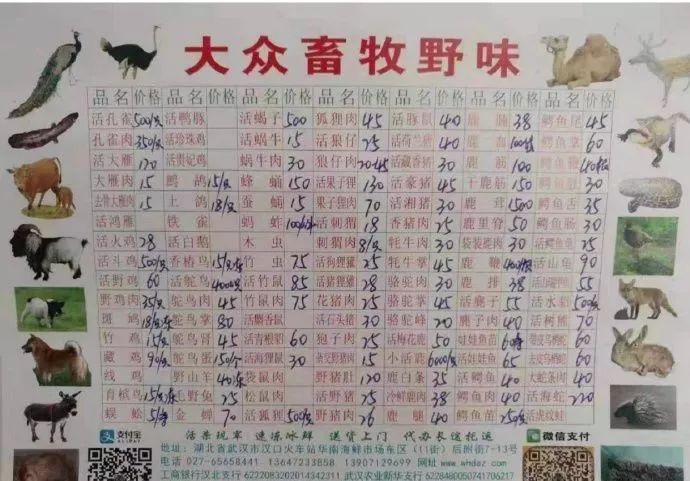 中国疫情刚好转,另一场危及70亿人生命的灾难还在发生… 中国疫情刚好转,另一场危及70亿人生命的灾难还在发生…
