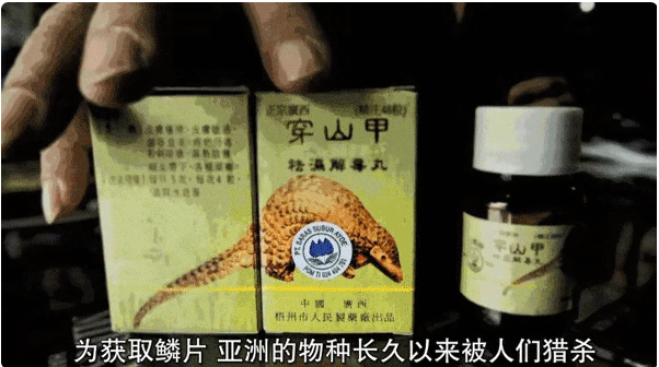 中国疫情刚好转,另一场危及70亿人生命的灾难还在发生… 中国疫情刚好转,另一场危及70亿人生命的灾难还在发生…