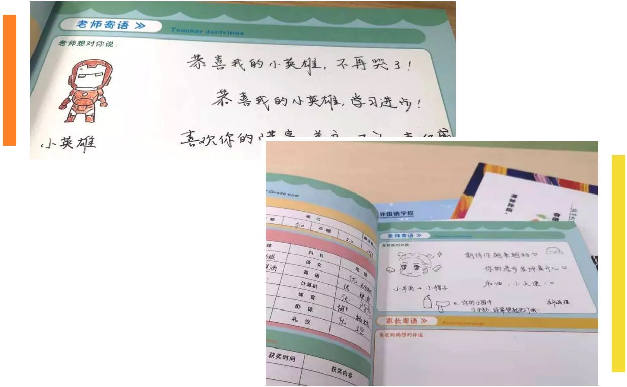 成长在新川,新川在成长 成长在新川,新川在成长