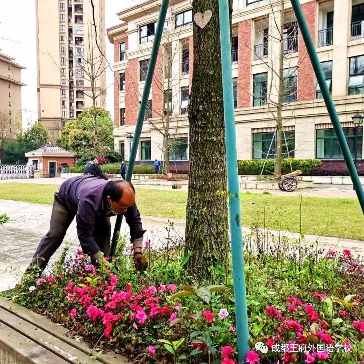全民爱卫生 养成好习惯|成都王府开展爱国卫生运动“卫生大扫除”活动