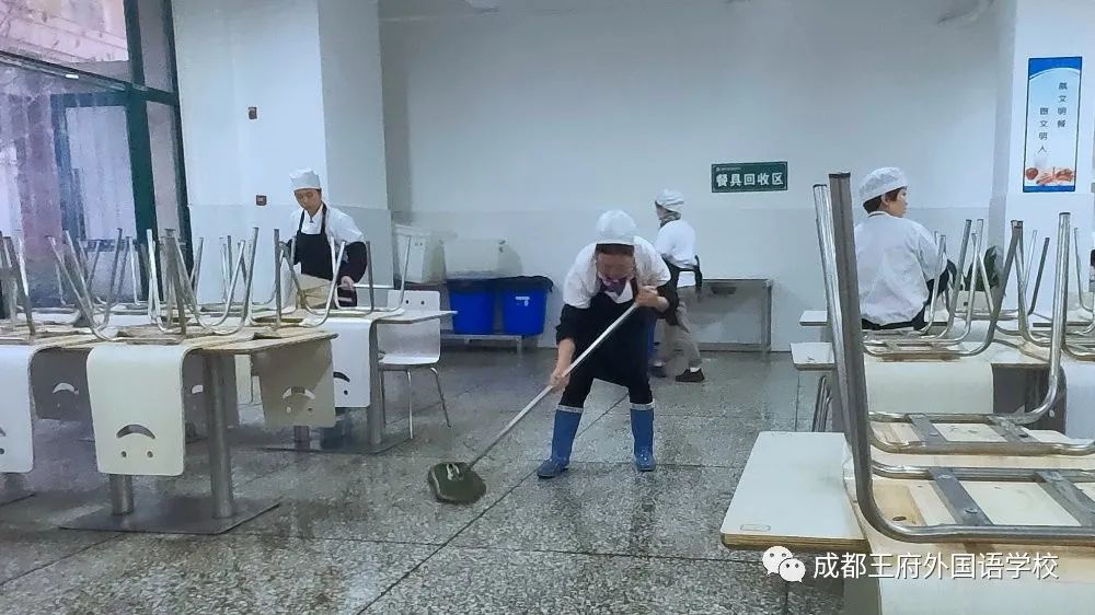 全民爱卫生 养成好习惯|成都王府开展爱国卫生运动“卫生大扫除”活动