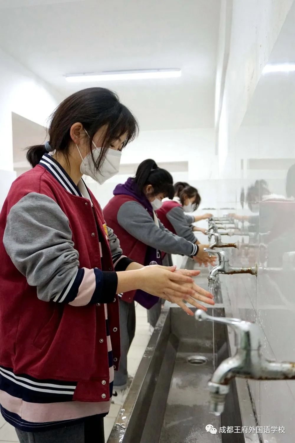 春暖花开 情满校园|成都王府外国语学校初三年级有序开学