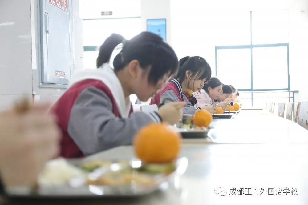 春暖花开 情满校园|成都王府外国语学校初三年级有序开学