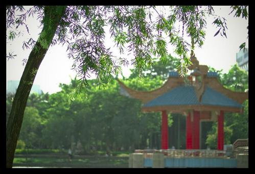 怎樣度過閑暇時(shí)光,決定了你的層次 怎樣度過閑暇時(shí)光,決定了你的層次