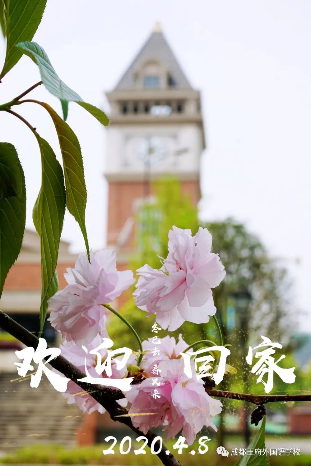 细化管理 精准防控|成都王府全体教职工返校开展疫情防控培训