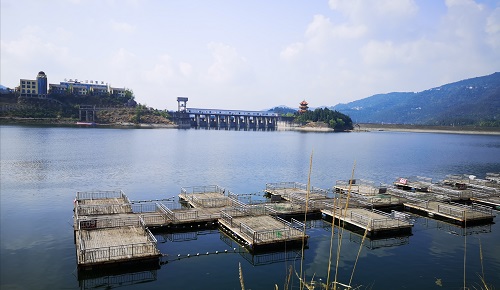 相聚釣魚城 垂釣升鐘湖 相聚釣魚城 垂釣升鐘湖