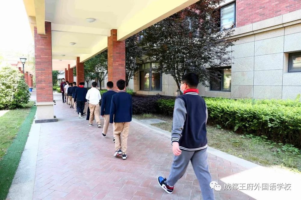 王府宝贝回家啦|小学部五六年级顺利返校