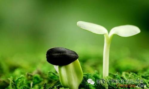 每天都超越自己一點(diǎn)點(diǎn) 每天都超越自己一點(diǎn)點(diǎn)