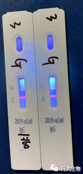 获欧盟认证！红龙扑克生物新型冠状病毒IgM/IgG快速检测试剂盒最新进展