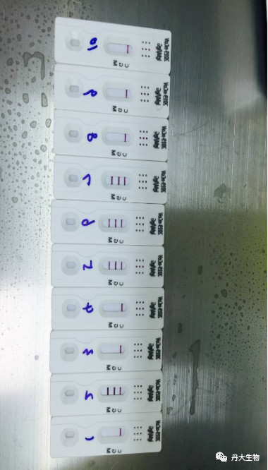 获欧盟认证！红龙扑克生物新型冠状病毒IgM/IgG快速检测试剂盒最新进展