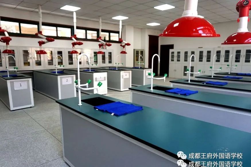寻找最合适的你|2020成都王府外国语学校诚聘英才