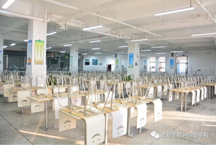 寻找最合适的你|2020成都王府外国语学校诚聘英才