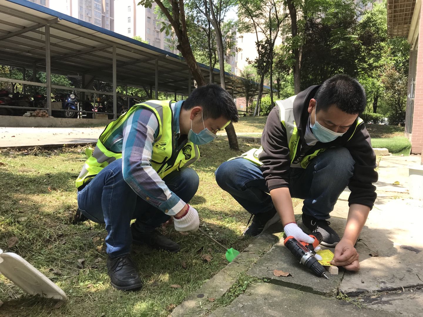 灭鼠正当时!CPCO中虫协 助力爱国卫生月 灭鼠正当时!CPCO中虫协 助力爱国卫生月