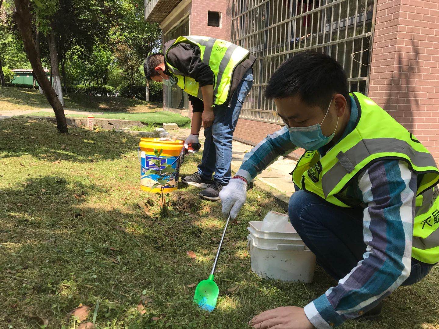 灭鼠正当时!CPCO中虫协 助力爱国卫生月 灭鼠正当时!CPCO中虫协 助力爱国卫生月