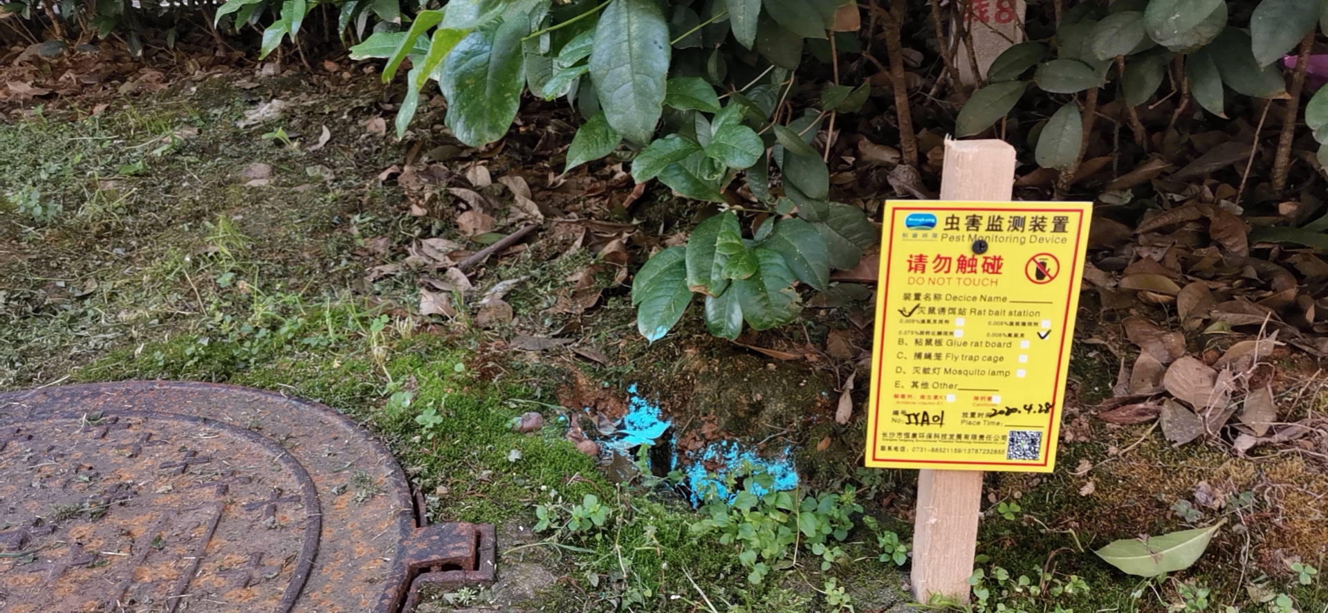 灭鼠正当时!CPCO中虫协 助力爱国卫生月 灭鼠正当时!CPCO中虫协 助力爱国卫生月