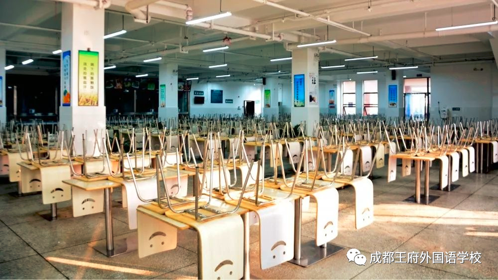 成都王府外国语学校2020小学及初中部招生简章