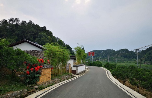 沧海变桑田 河滩成果园 沧海变桑田 河滩成果园