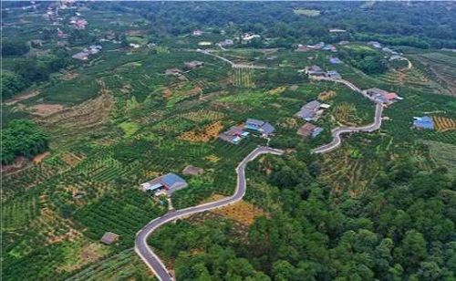 沧海变桑田 河滩成果园 沧海变桑田 河滩成果园