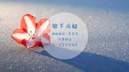 命是弱者的借口,運(yùn)是強(qiáng)者的謙辭 命是弱者的借口,運(yùn)是強(qiáng)者的謙辭