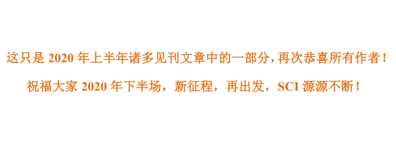 飓风翻译2020上半年发表论文选集