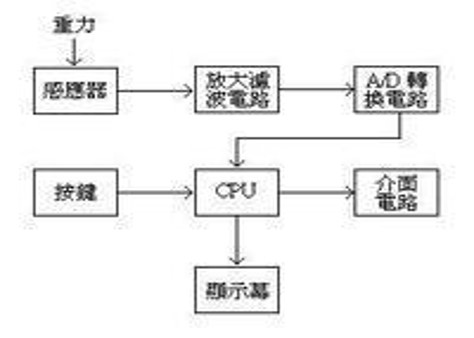 电子称/电子天平基础知识 电子称/电子天平基础知识