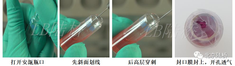 關(guān)于乳品中沙門氏菌檢測的那些事兒(中)-初步生化鑒定 關(guān)于乳品中沙門氏菌檢測的那些事兒(中)-初步生化鑒定