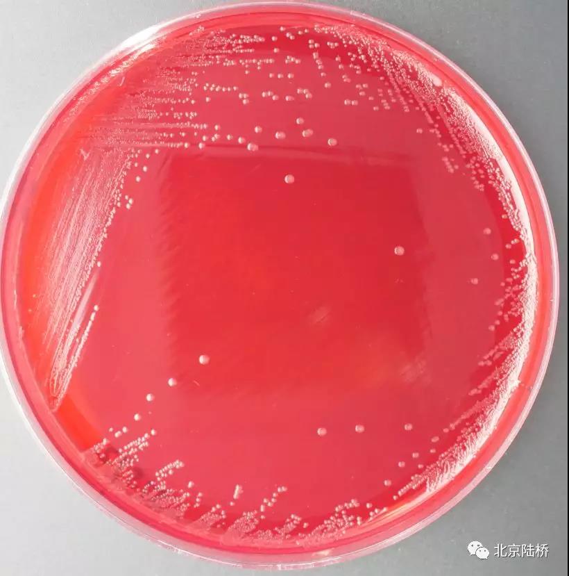 淺析 XLD配方之精妙 淺析 XLD配方之精妙