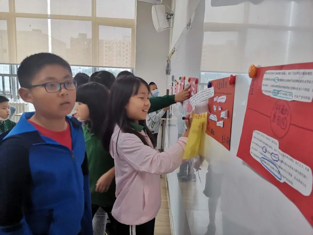 青苗IB小课堂:都说IB探究式学习特牛,他们到底怎么学? 青苗IB小课堂:都说IB探究式学习特牛,他们到底怎么学?