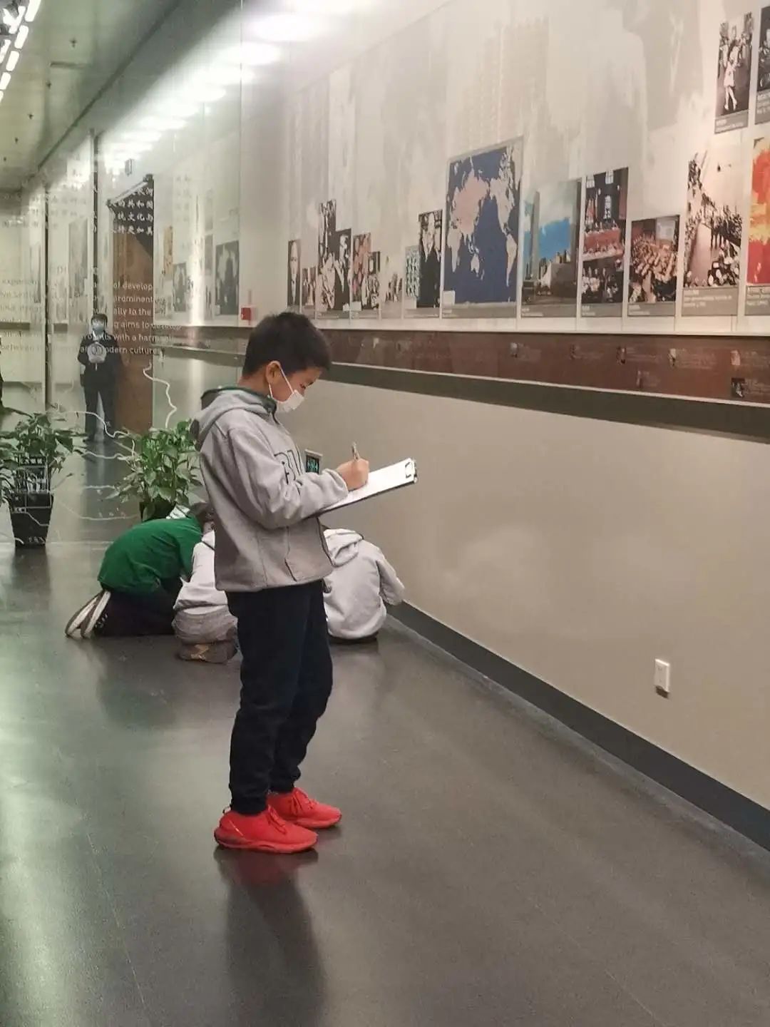 青苗IB小课堂:都说IB探究式学习特牛,他们到底怎么学? 青苗IB小课堂:都说IB探究式学习特牛,他们到底怎么学?