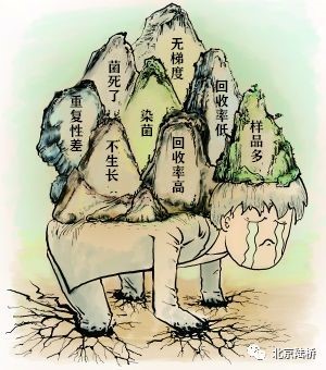 “求帶”——維生素檢驗國標微生物法太“南”了 “求帶”——維生素檢驗國標微生物法太“南”了