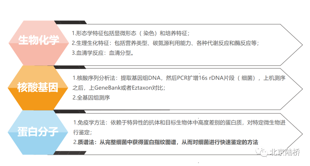 微生物鑒定方法之飛行時(shí)間質(zhì)譜 微生物鑒定方法之飛行時(shí)間質(zhì)譜