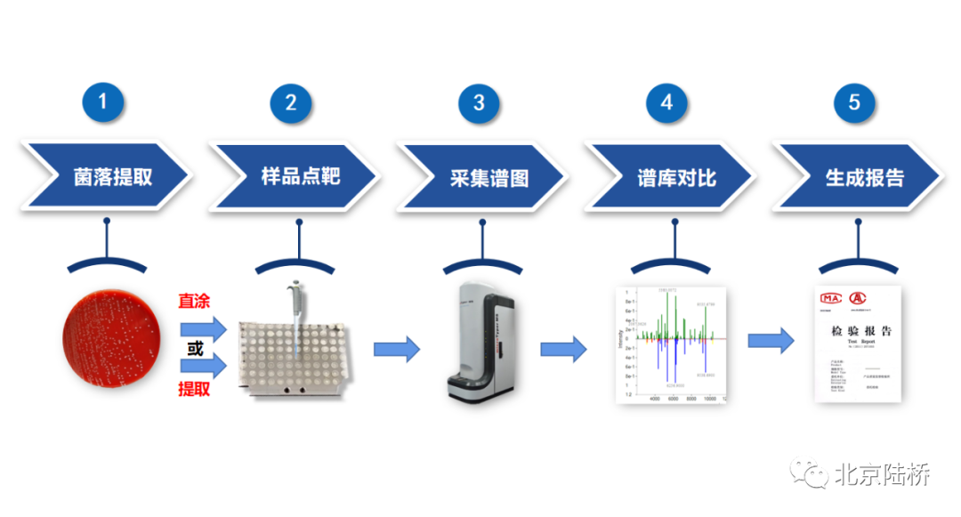 微生物鑒定方法之飛行時(shí)間質(zhì)譜 微生物鑒定方法之飛行時(shí)間質(zhì)譜