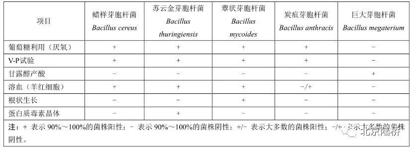 蠟樣芽孢桿菌檢驗(yàn),知多少? 蠟樣芽孢桿菌檢驗(yàn),知多少?