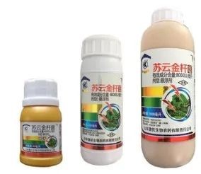 蠟樣芽孢桿菌檢驗(yàn),知多少? 蠟樣芽孢桿菌檢驗(yàn),知多少?