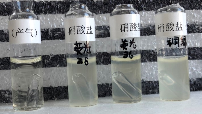 熒光假單胞菌做對照菌株時(shí)的一些小狀況！