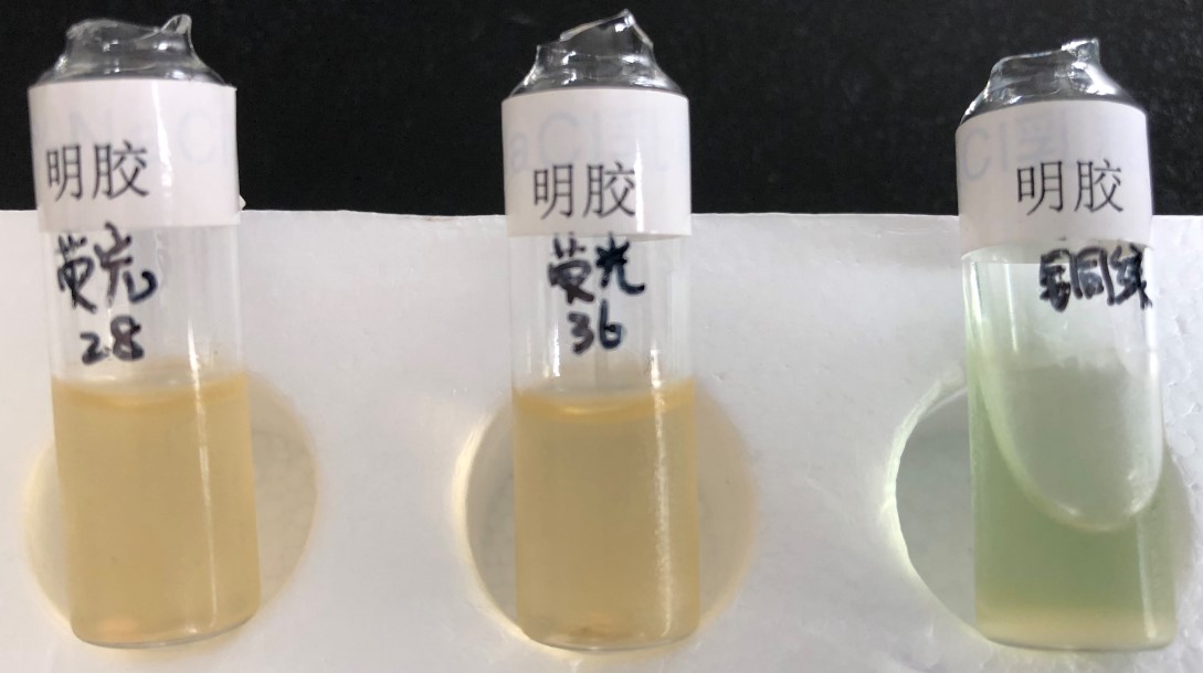熒光假單胞菌做對照菌株時(shí)的一些小狀況！