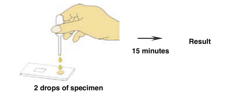 HBsAg Rapid Test HBsAg Rapid Test