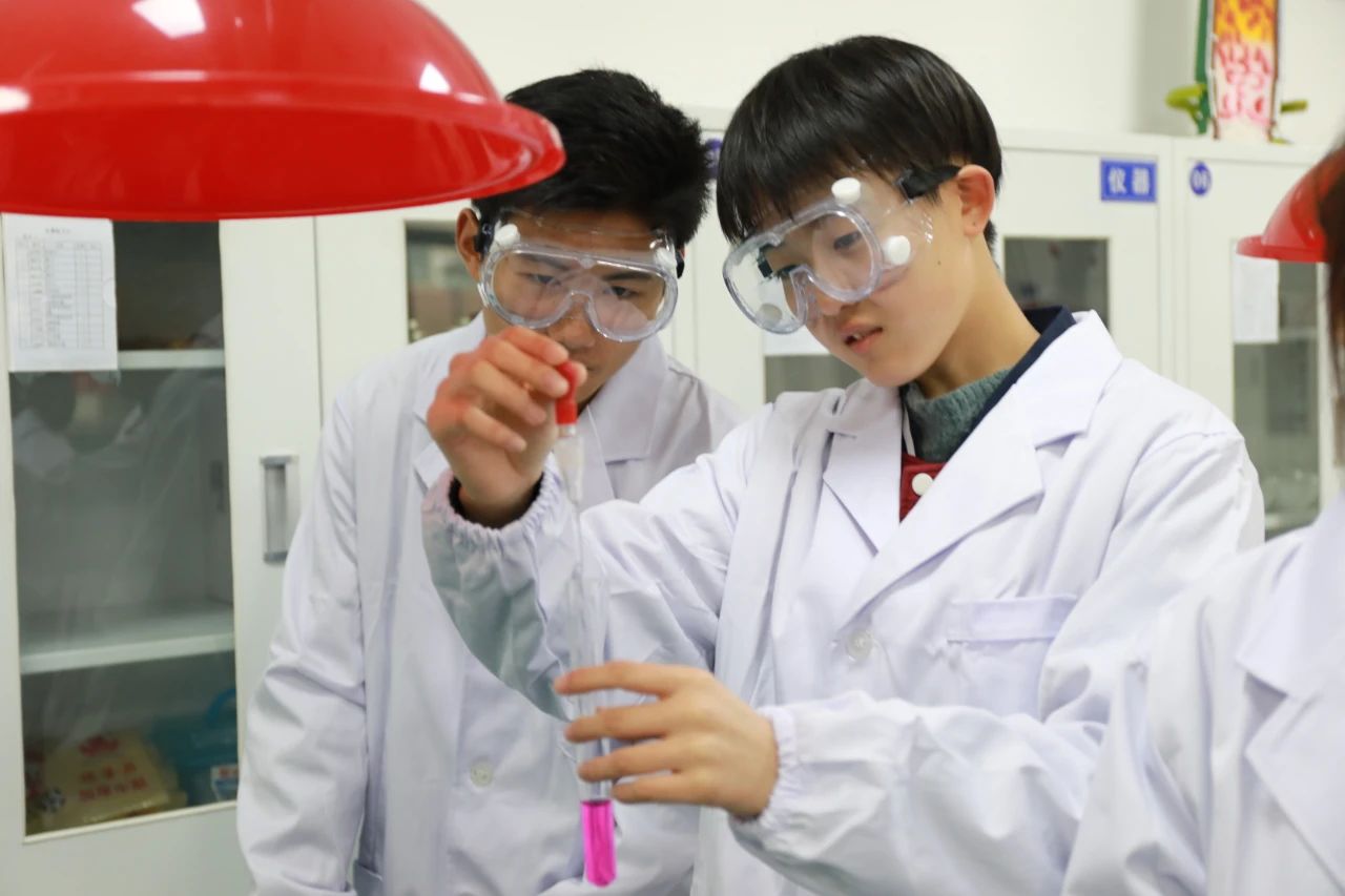 成都王府暑期特别攻略：注意安全，积极实践！